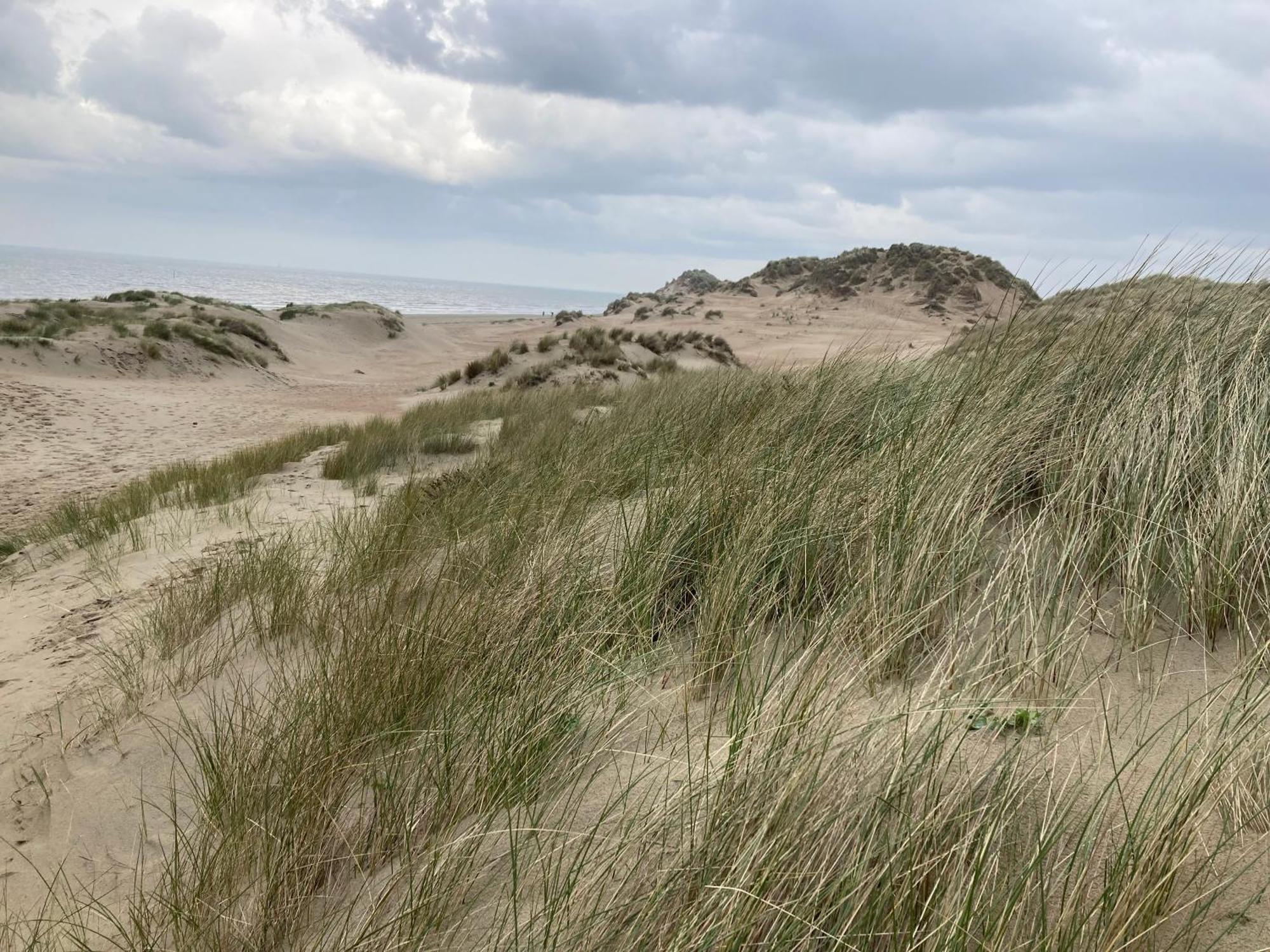 Terduinen Villa Oostduinkerke Ngoại thất bức ảnh